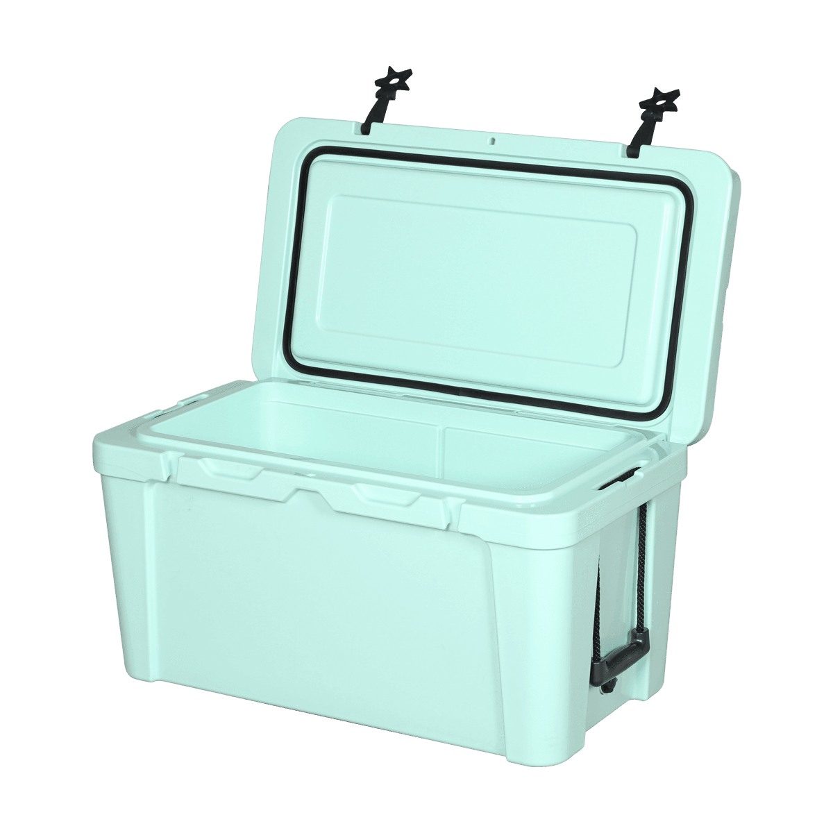 K-65L panlabas na paglilibang gamit ang insulated cooler ice box  