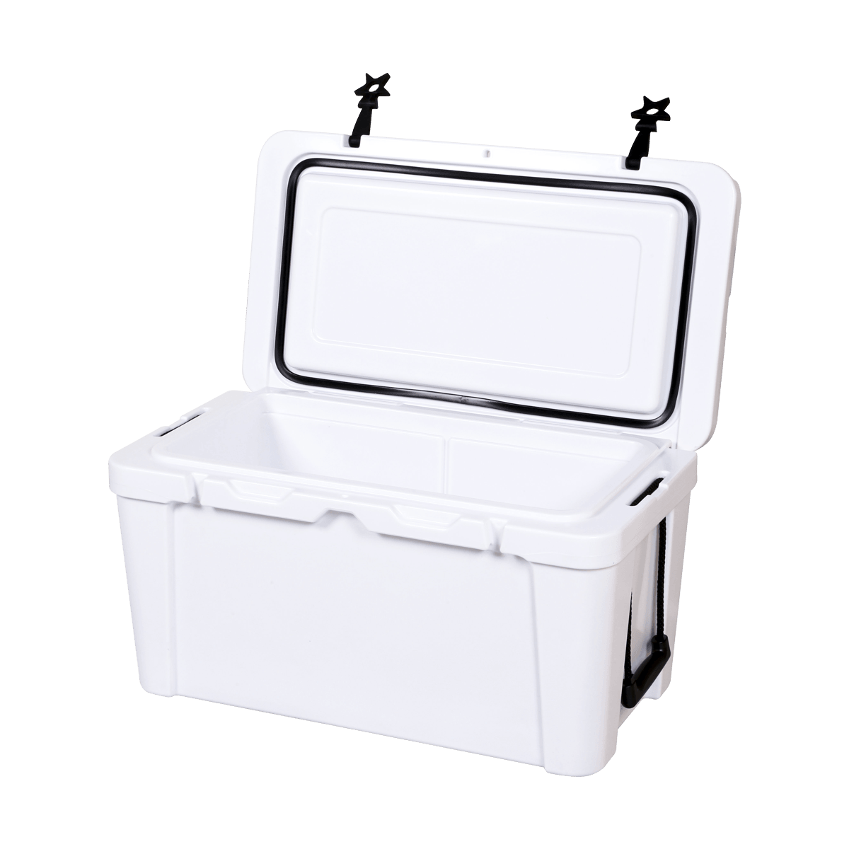 K-65L panlabas na paglilibang gamit ang insulated cooler ice box  