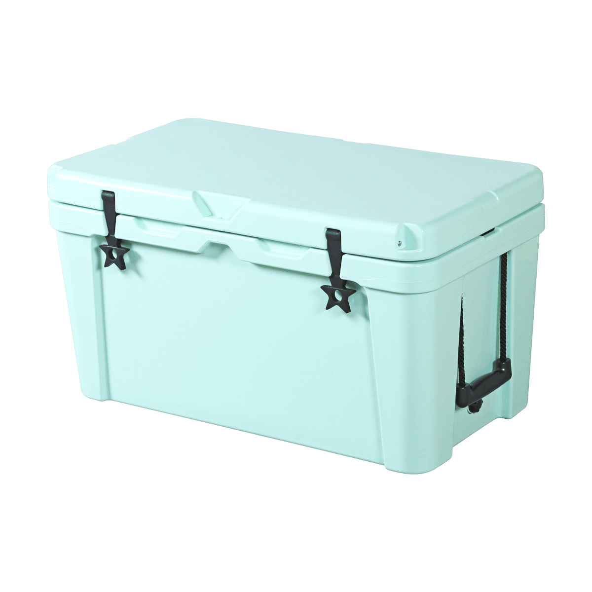 K-65L panlabas na paglilibang gamit ang insulated cooler ice box  
