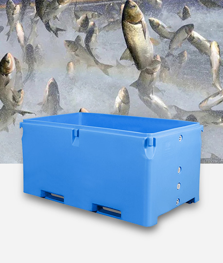 Ano ang mga perpektong saklaw ng temperatura para sa pag-iimbak ng iba't ibang mga produkto sa mga lalagyan ng cold-chain