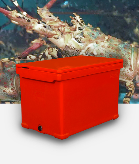 Ang mga insulated na bulk container ay magagamit muli o maaaring magamit?
