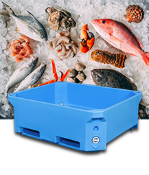 Ang Hinaharap ng Packaging: Mga Insulated Bulk Container para sa Sustainable Shipping